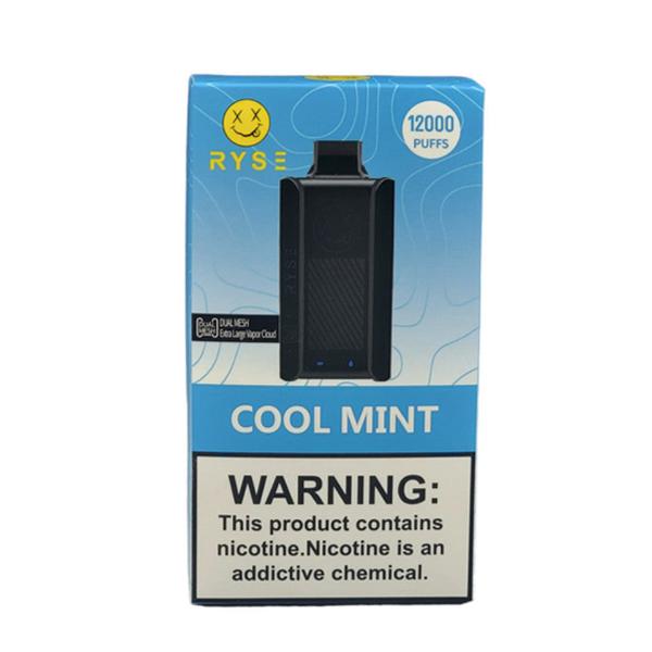 Best Deal RYSE 12000 Puffs Rechargeable Disposable Vape 18mL Cool Mint