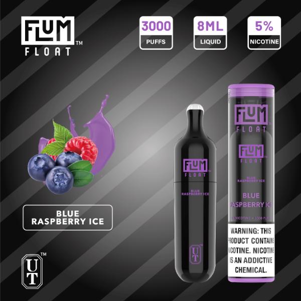 Flum Float 3000 Puffs Disposable Vape 8mL 10 Pack Best Flavor Blue Raspberry Ice