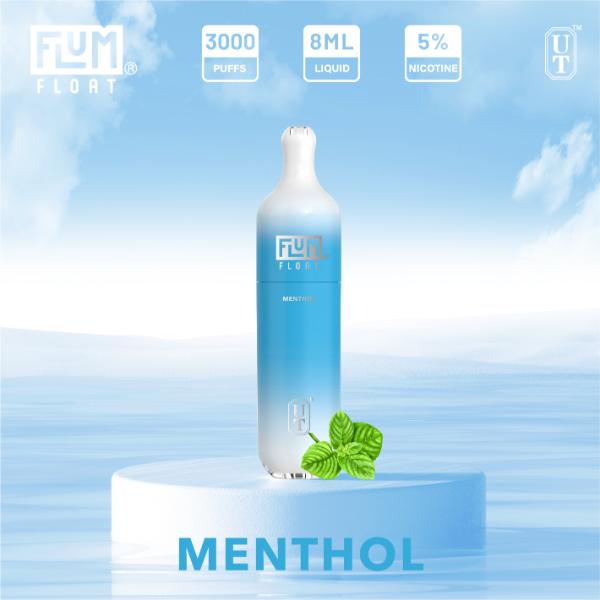 Flum Float 3000 Puffs Disposable Vape 8mL 10 Pack Best Flavor Menthol