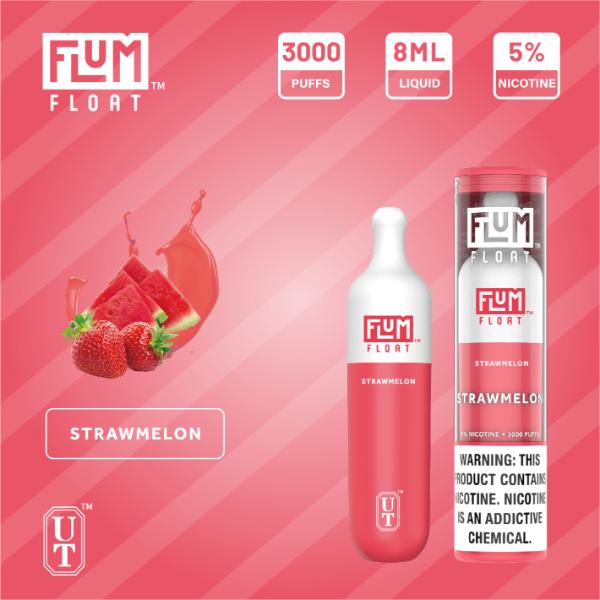 Flum Float 3000 Puffs Disposable Vape 8mL 10 Pack Best Flavor Strawmelon